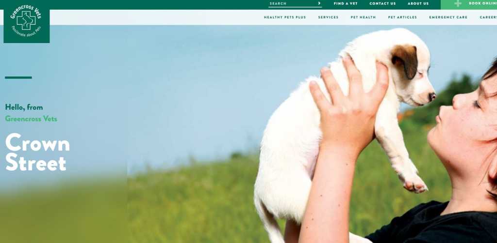 Best Veterinarians in Wollongong