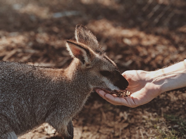 Packing for Australia – tackle the transitional seasons