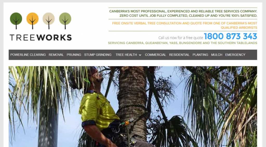 Best Arborists in Canberra