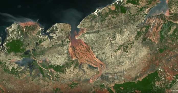Deforestation is winning as the world loses tree cover at record rates Deforestation is winning as the world loses tree cover at record rates
