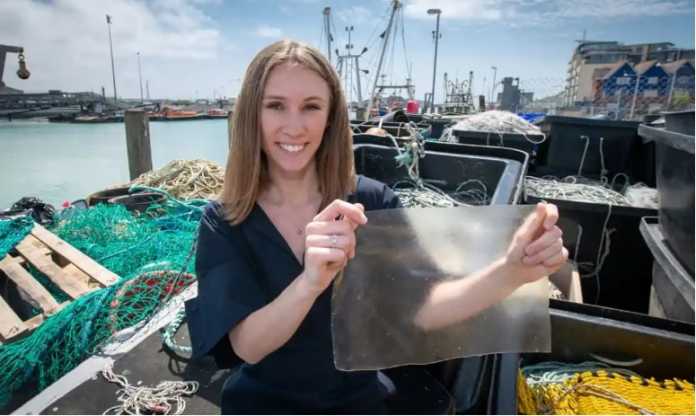 Plastic alternative made from fish waste wins Dyson Award