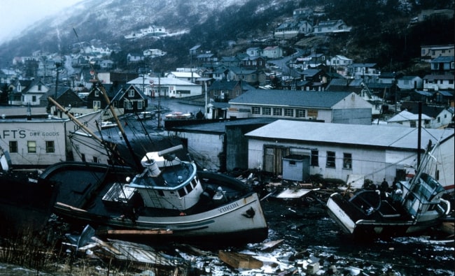 1964 Alaska earthquake linked to spread of lethal fungal disease