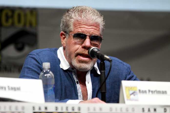 Ron Perlman divorces wife of 38 years due to irreconcilable differences Ron Perlman Divorce
