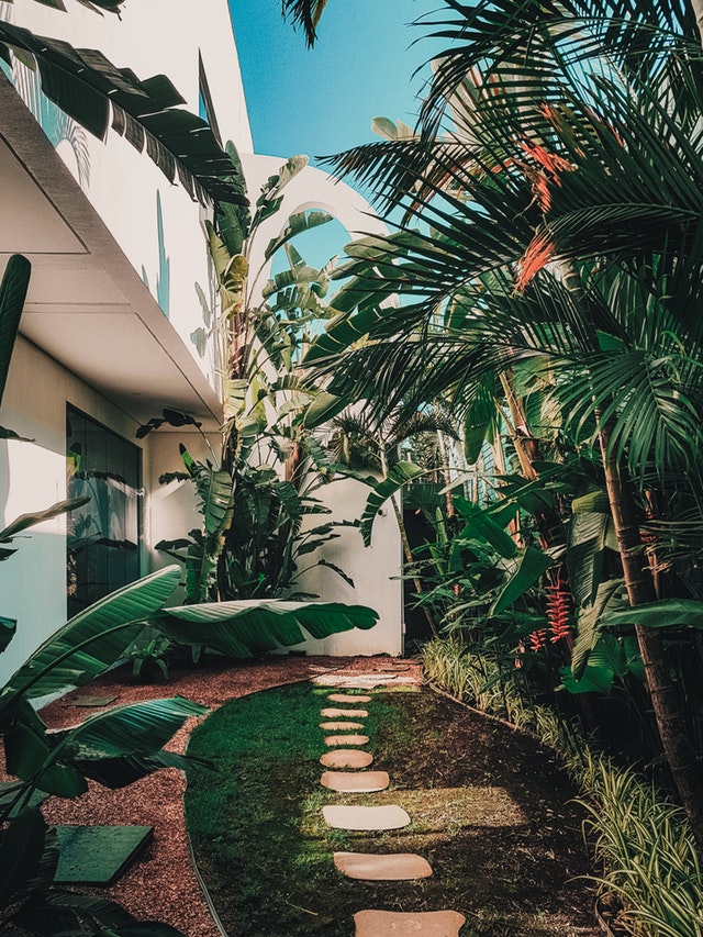 Greenery in therapeutic landscapes garden walkway