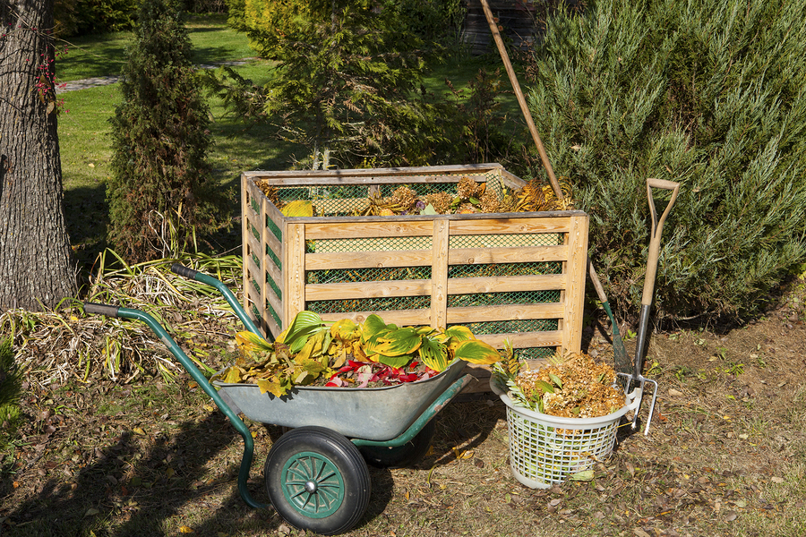 How to Dispose of Backyard Waste