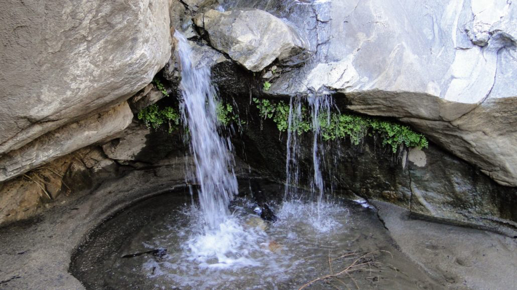 The waterfall at Andreas canyon hiking trail at Indian canyons.