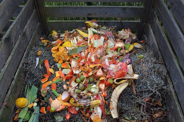 Start composting