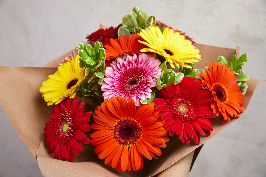 bouquet of fresh flowers