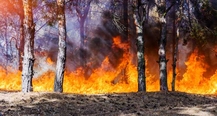 catastrophic bushfires catastrophic bushfires