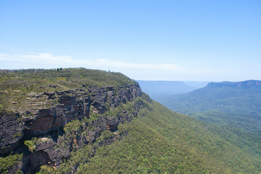 Cliff Top Blue Mountains