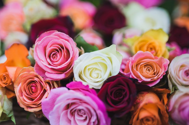 7 flower and gift ideas for your mother this mother’s day roses