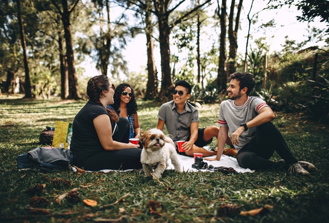 The best team building activities for foodies host a picnic