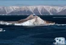 Antarctic: "abnormal" 20.75C temperature recorded for the first time