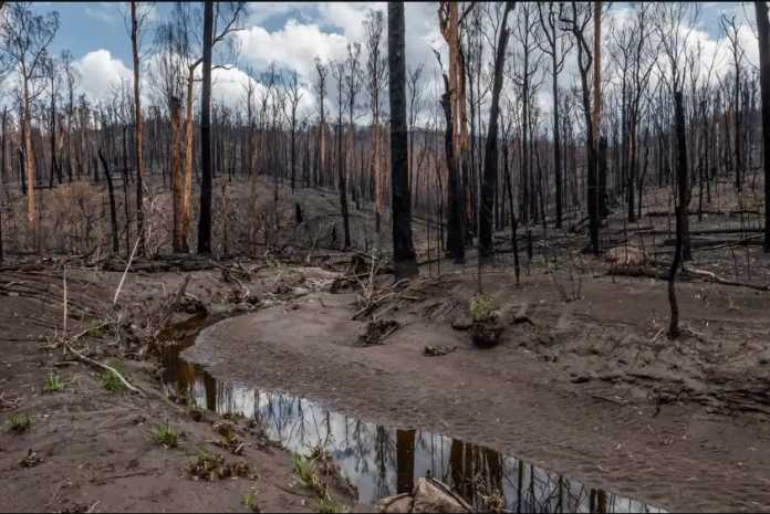 Natural disasters take a heavy toll on Australia's rivers Natural disasters take a heavy toll on Australia's rivers