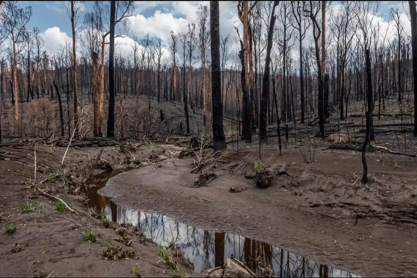 Natural disasters take a heavy toll on Australia's rivers