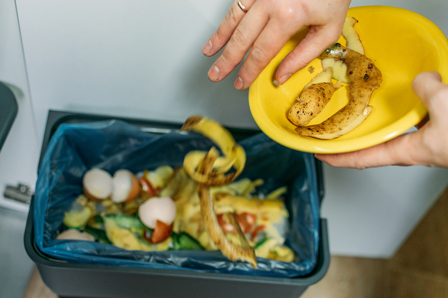 food in the bin against pest