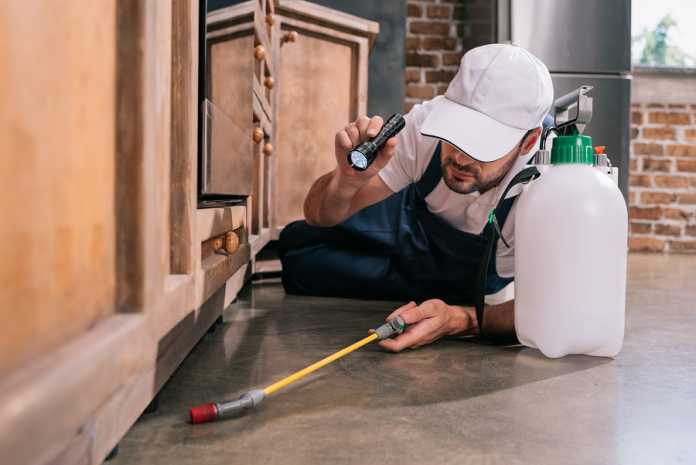 guide on pest control guide on pest control