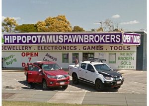 Hippopotamus Pawnbrokers