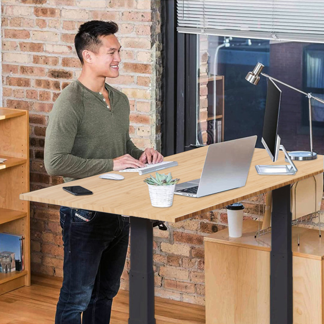 the best standing desk - UpDown Desk PRO Series