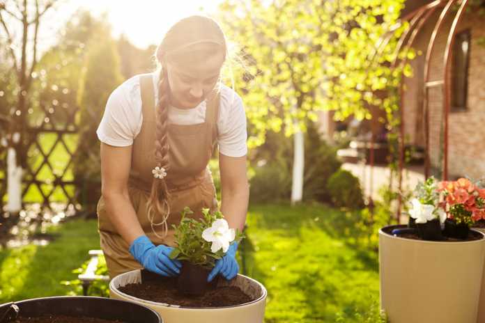 easy garden makeover tips to help sell your property