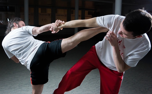 Martial Arts Classes in Adelaide