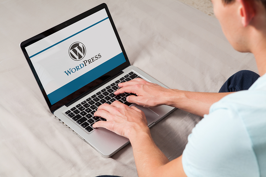 WordPress – an overview