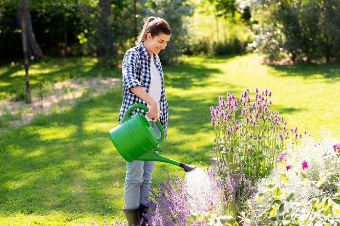 Garden makeover trends to embrace