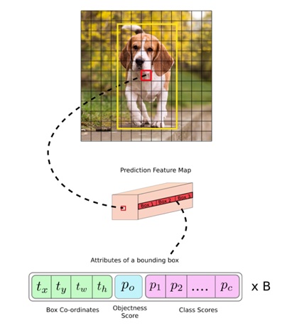 Bounding Box and Output