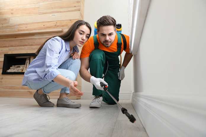 Summer pests and your rental property Summer pests and your rental property