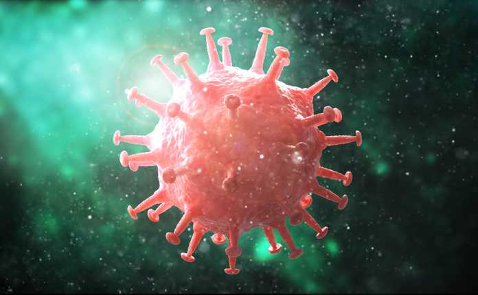 All about Coronavirus All about Coronavirus
