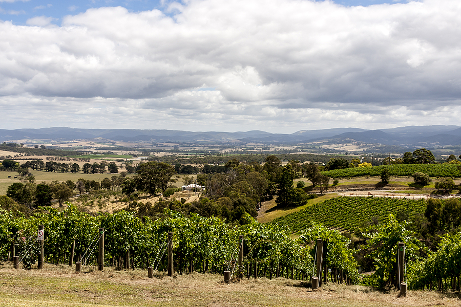 Barossa Valley