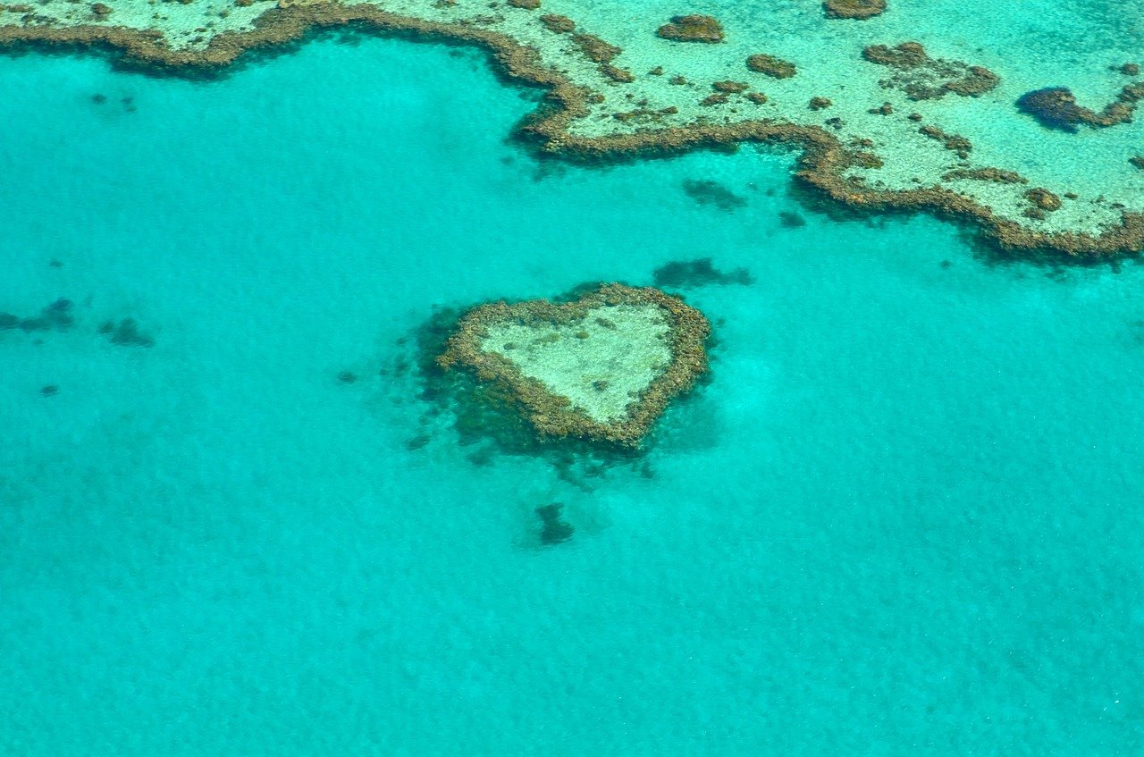 The Great Barrier Reef