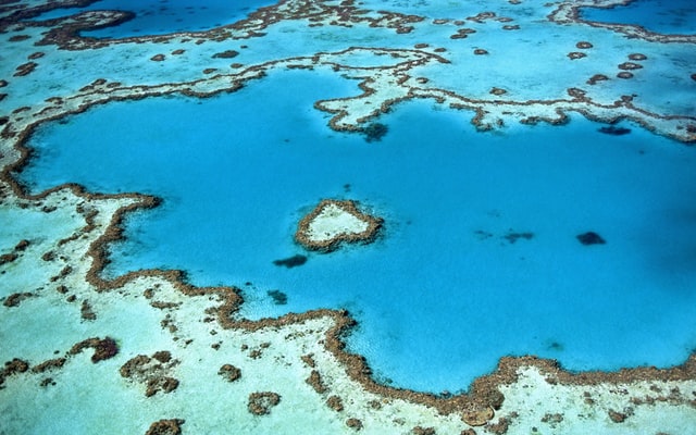 The Great Barrier Reef