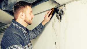 reasons why your wall is cracking
