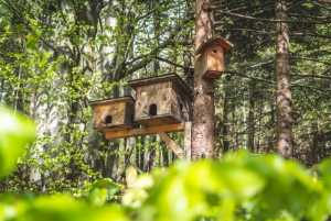 Tips to make your backyard as useful as it can be
