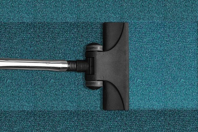 Carpet care to get rid of kinks and straighten