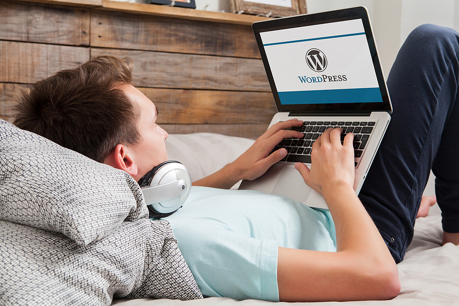 Why you should use WordPress to develop a Web Application
