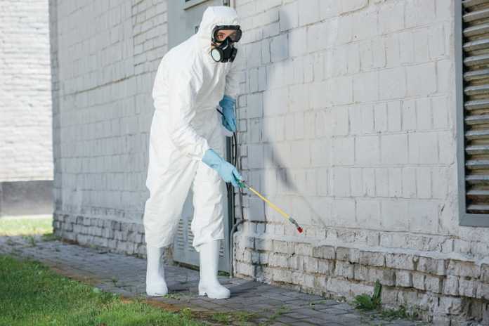 Signs of an expert pest control company Signs of an expert pest control company