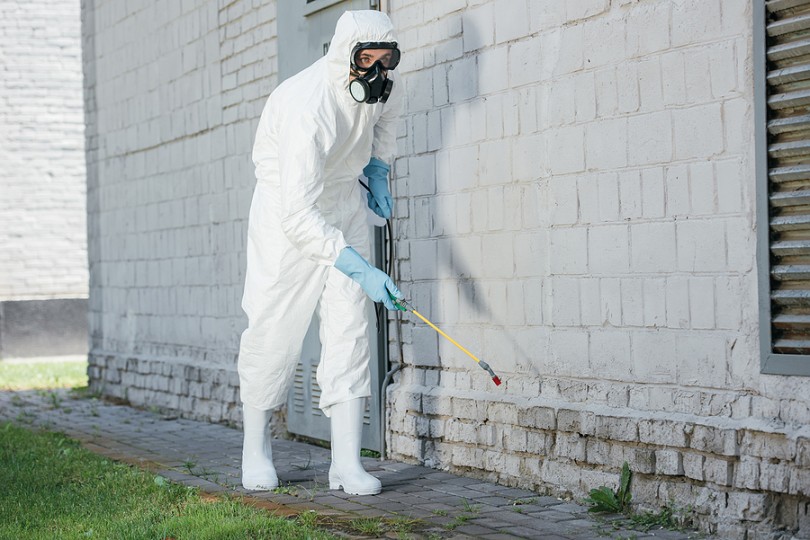 Signs of an expert pest control company