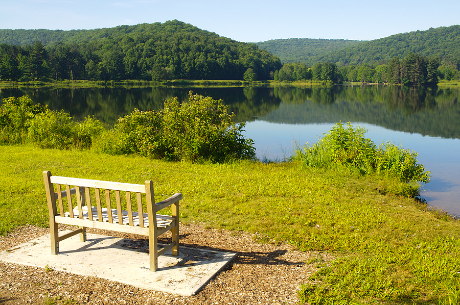 The Red House Area and Quaker Run Area