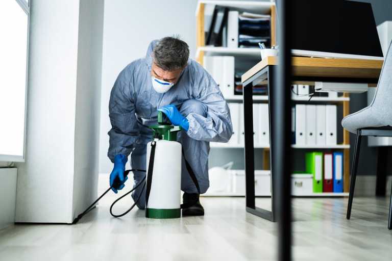When do you know it’s time to consider pest control services?