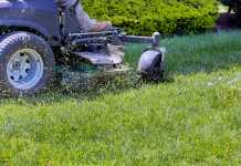 best lawn mowers in Australia