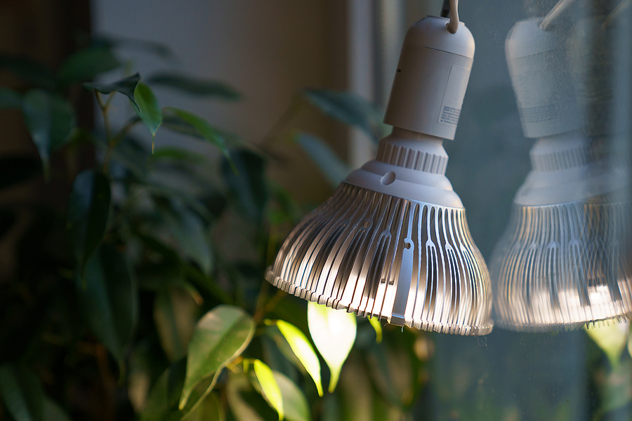 Grow lights How to use them for your indoor plants