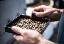 Important milestones to understand your coffee roasting better