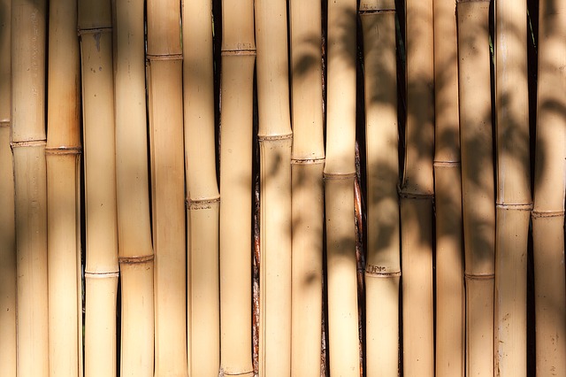 Bamboo on wall