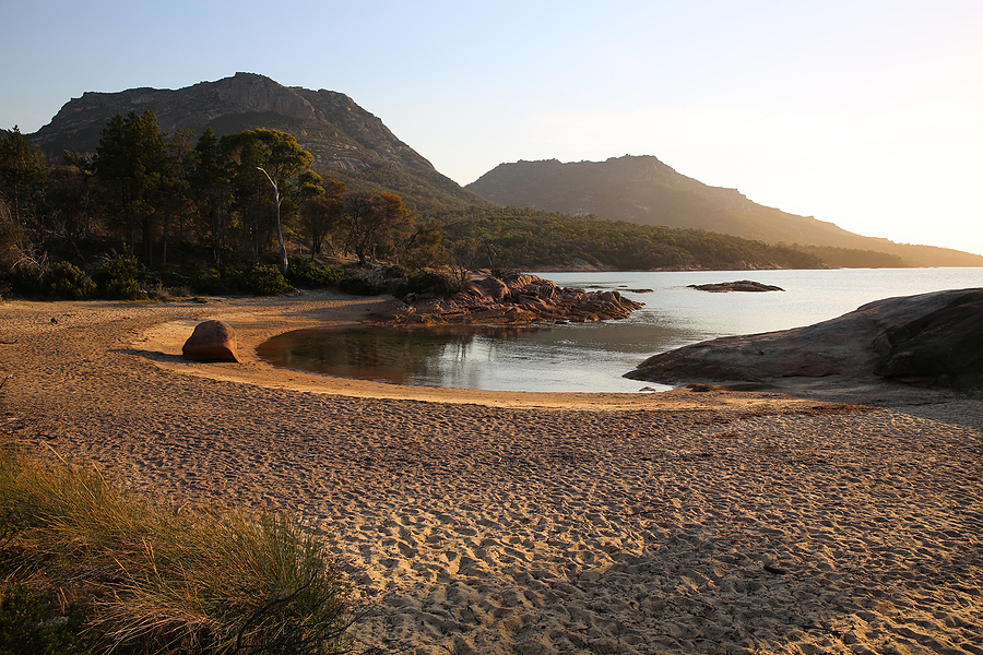 Freycinet