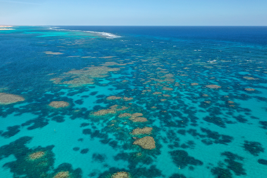 Ningaloo Reef