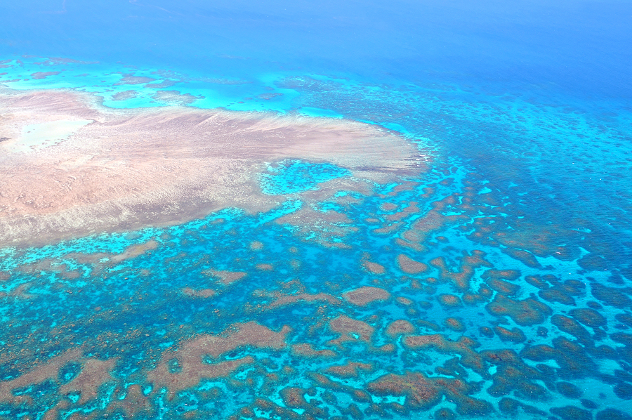 The Great Barrier Reef