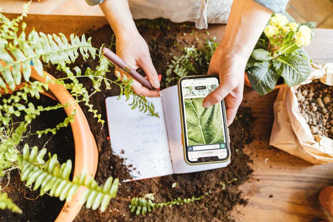 The Best Gadgets and Electronics for Gardening and Plant Care