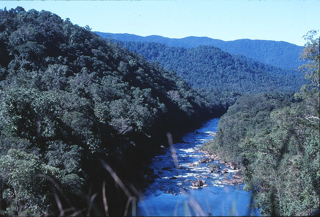 Tully River in North Queensland